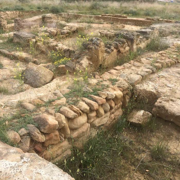 Detalle Yacimiento de Las Cías